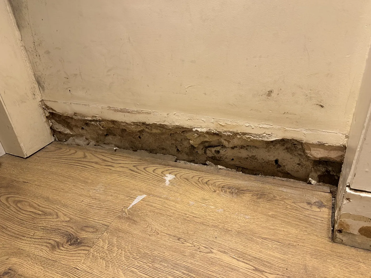 Wall and skirting board showing substantial salt-laden damp staining and deteriorated plaster, with exposed earth-coloured substrate and wooden floorboards
