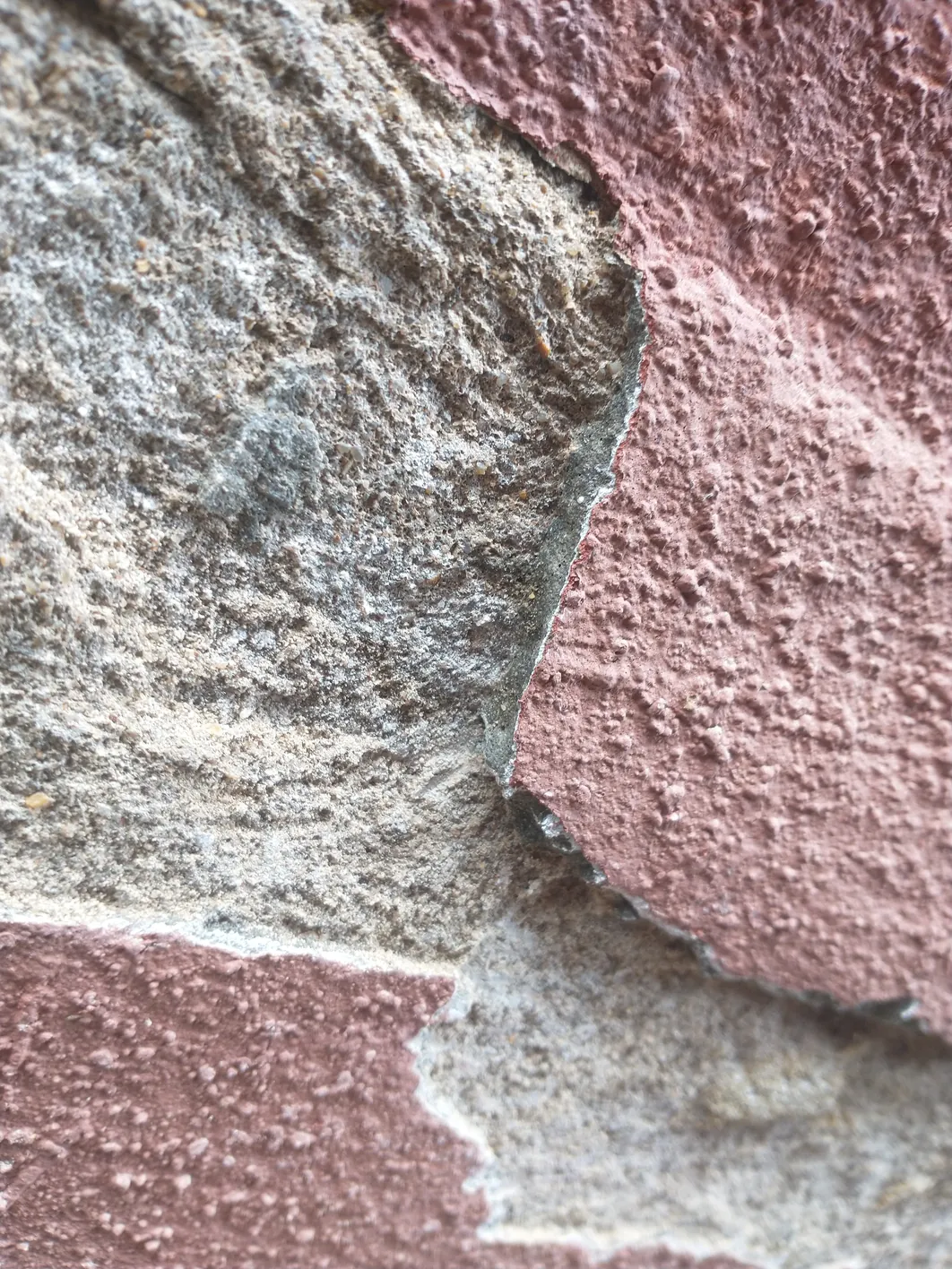 Two render coats meeting at a joint, the lower beige coat showing white efflorescence bloom, the upper mauve coat appearing dry and sound.