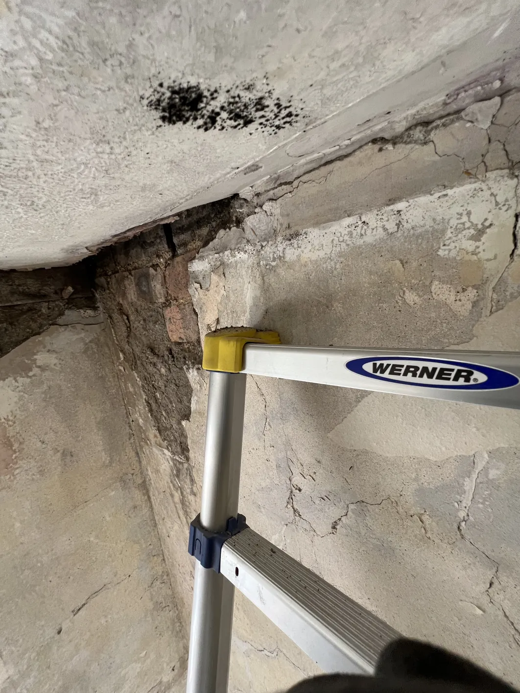 Damaged plaster at ceiling edge shows blown coating, dark mould spot, and structural cracks on a masonry wall behind a measurement scale.